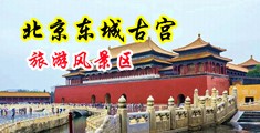 男人的jj插在女人逼里面免费视频中国北京-东城古宫旅游风景区